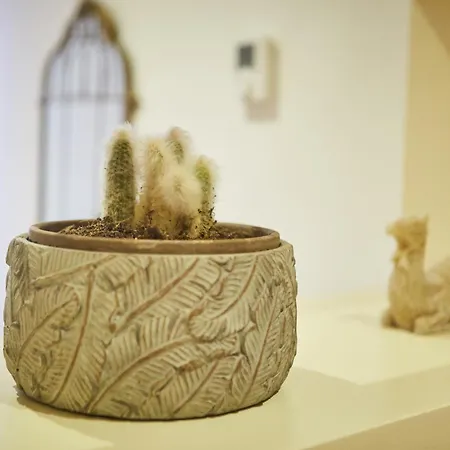 Apartamento Domo De Maria *